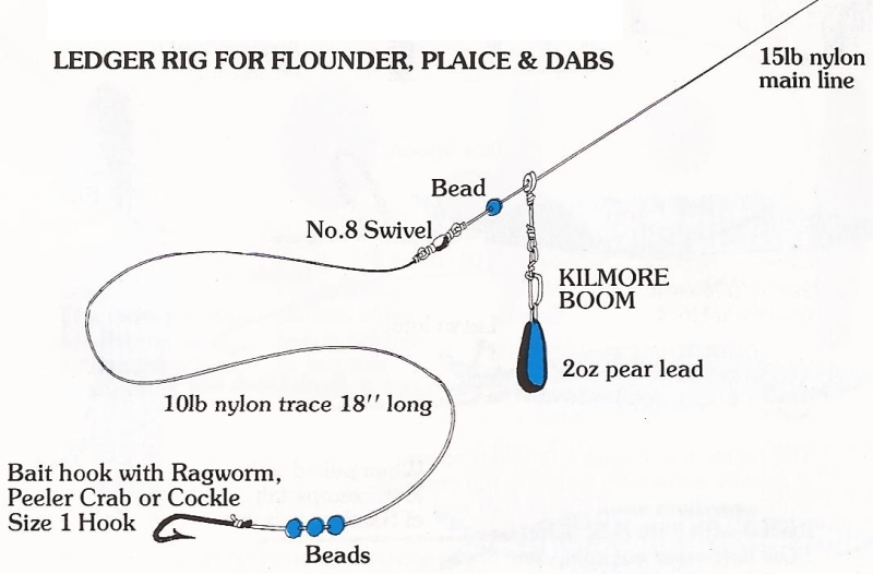 Flounder Rig for Boat Fishing - SeaAngler