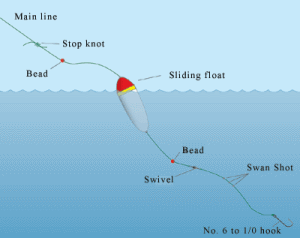 Flounder Rig for Boat Fishing - SeaAngler